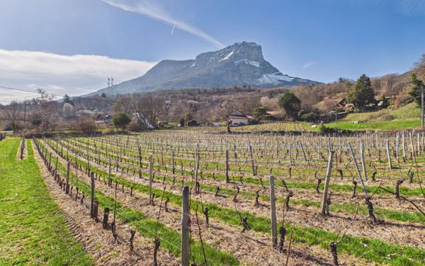 Maison à vendre    4 pièces • 96,22 m2 Les Marches