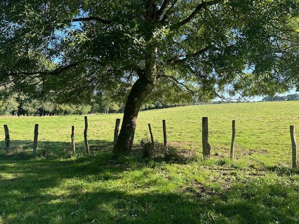 Longere à BROU (28160)