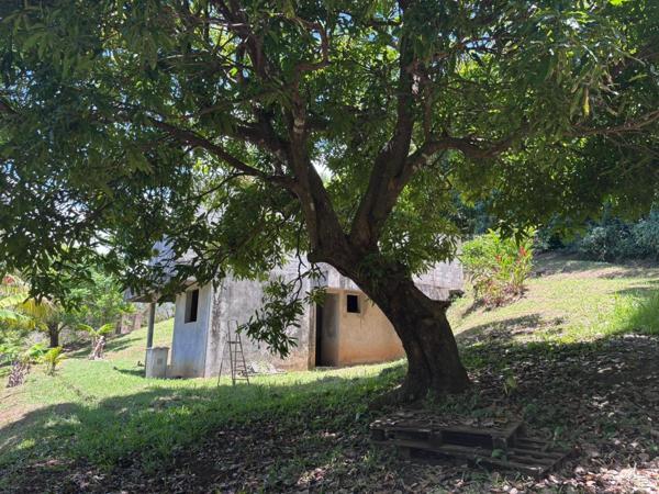 Maison à GOYAVE, 97128 - 7 pièces 160m²