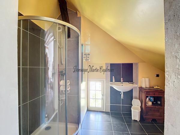 LOIR ET CHER (41)-VILLEDIEU LE CHATEAU, Maison à vendre 136m²-4 pièces- terrasse- dépendances-jardin-cour-mare