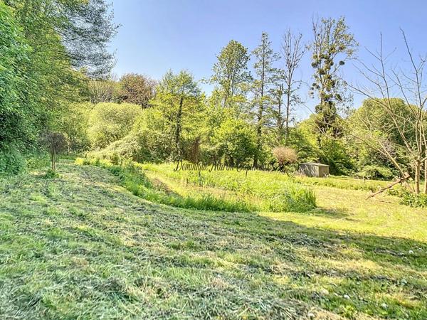 LOIR ET CHER (41)-VILLEDIEU LE CHATEAU, Maison à vendre 136m²-4 pièces- terrasse- dépendances-jardin-cour-mare