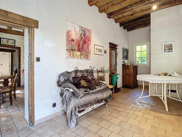 LOIR ET CHER (41)-VILLEDIEU LE CHATEAU, Maison à vendre 136m²-4 pièces- terrasse- dépendances-jardin-cour-mare