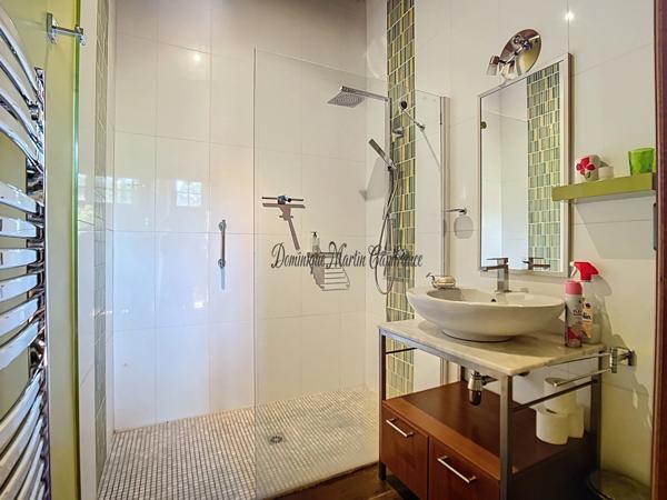 LOIR ET CHER (41)-VILLEDIEU LE CHATEAU, Maison à vendre 136m²-4 pièces- terrasse- dépendances-jardin-cour-mare