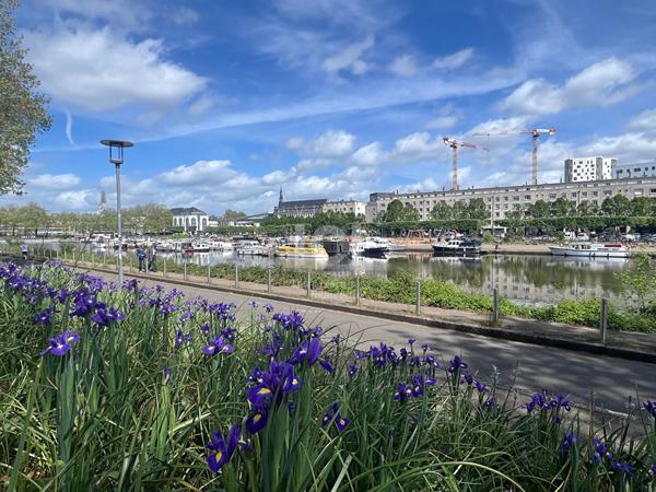 Dernier étage T4. Proche Gare SNCF & Canal Saint-Félix