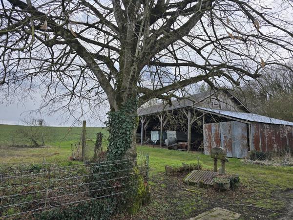 Maison à SAINT PIERRE DE CHEVILLE (72500)