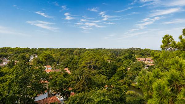 Opportunité : Terrain centre ville Capbreton 588 m²