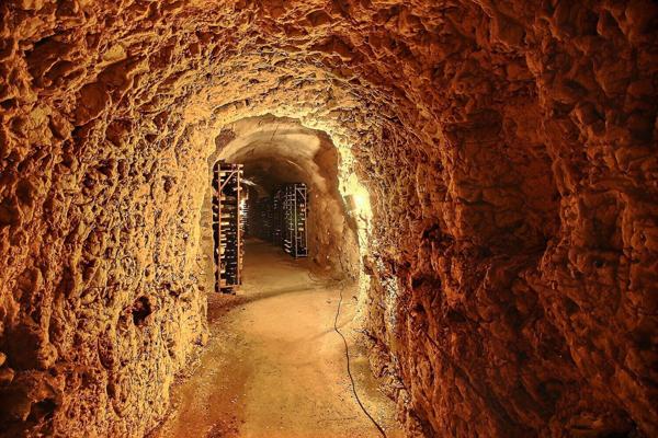 Magnifique demeure bourgeoise avec jardin au centre historique d EPERNON