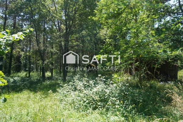 Petite maison, vastes espaces