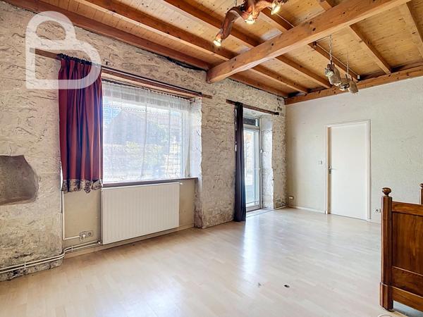 Montaigu-de-Quercy (82150) Ensemble de deux maisons de village en pierre avec jardin et garage