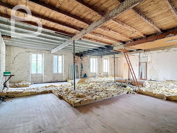 Montaigu-de-Quercy (82150) Ensemble de deux maisons de village en pierre avec jardin et garage