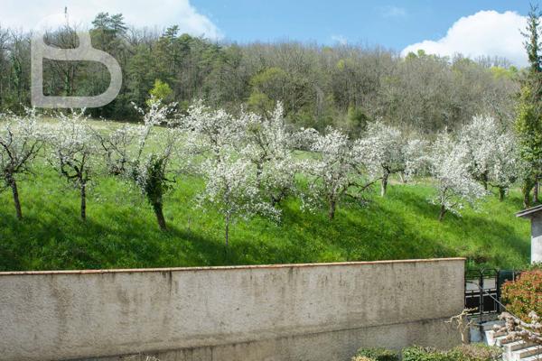 Montaigu-de-Quercy (82150) Ensemble de deux maisons de village en pierre avec jardin et garage
