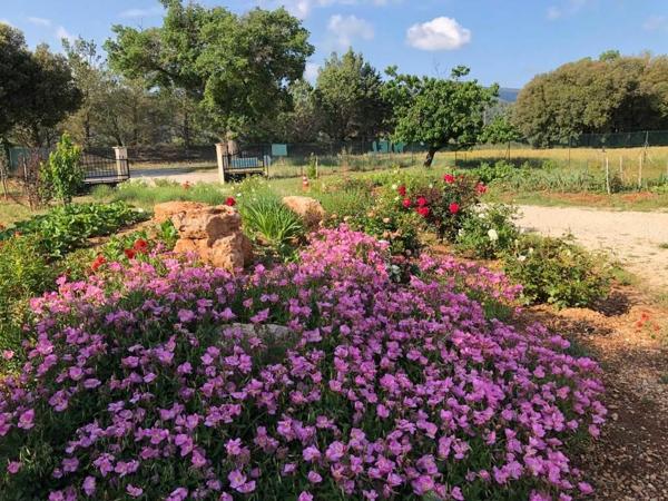 Maison à vendre    5 pièces •  Signes