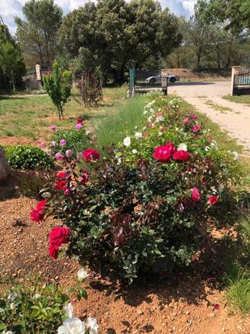 Maison à vendre    5 pièces •  Signes