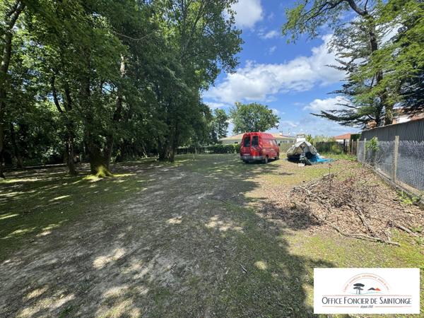 Villa 240 m² hab avec piscine sur 3200 m² de terrain arboré