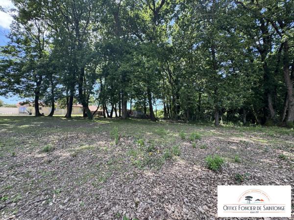 Villa 240 m² hab avec piscine sur 3200 m² de terrain arboré