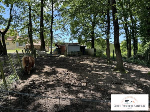 Villa 240 m² hab avec piscine sur 3200 m² de terrain arboré