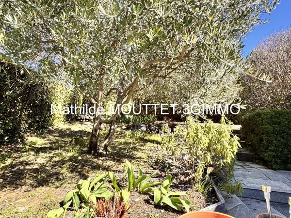 Vente / Maison de ville