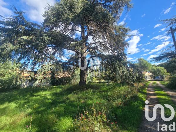 Terrain à vendre 574 m² Saint-Jean-Pla-de-Corts