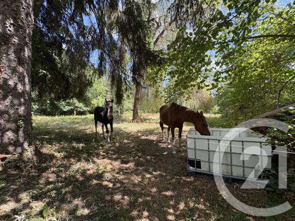 Maison à vendre  4 pièces - 135 m 2   PROVENCHERES ET COLROY  - 88