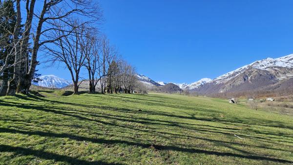 Vente / Maison en pierre