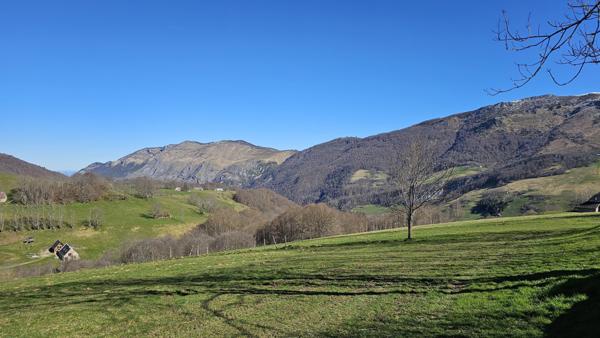 Vente / Maison en pierre