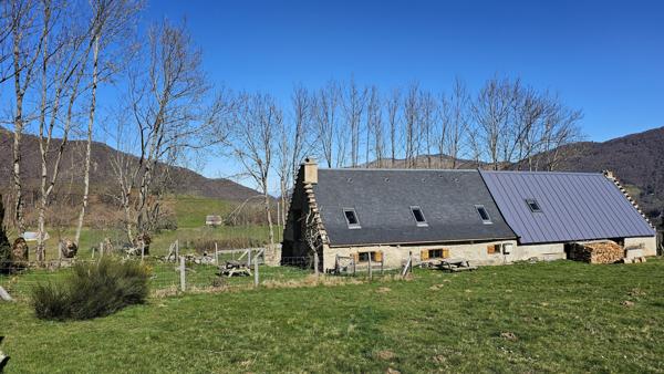 Vente / Maison en pierre