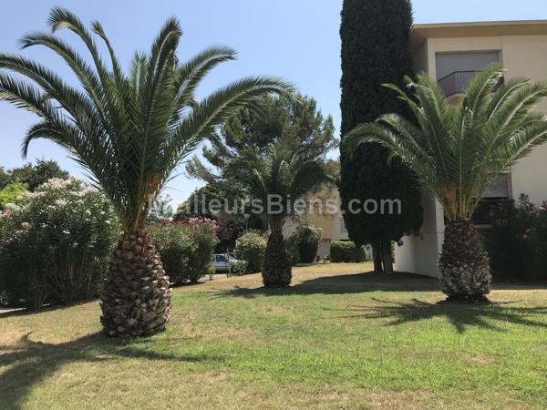 T4/T5 vue dégagée sur parc arboré