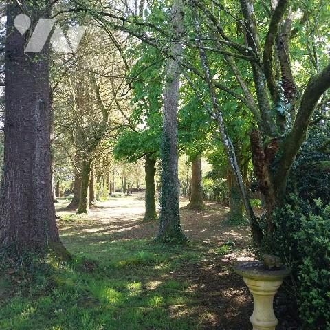 Bien immobilier avec parc clos pour résidence principale ou parfait pour maison d'hôtes