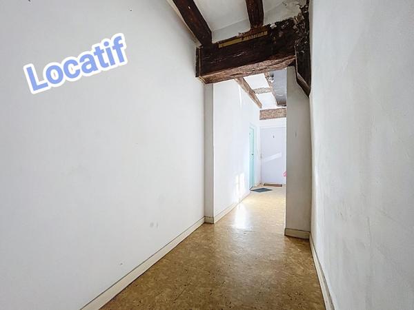 Propriete de caractere 30 mn Angers ideale pour residence familiale et/ou investissement locatif