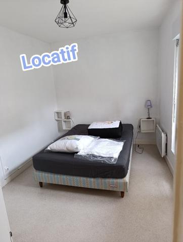 Propriete de caractere 30 mn Angers ideale pour residence familiale et/ou investissement locatif