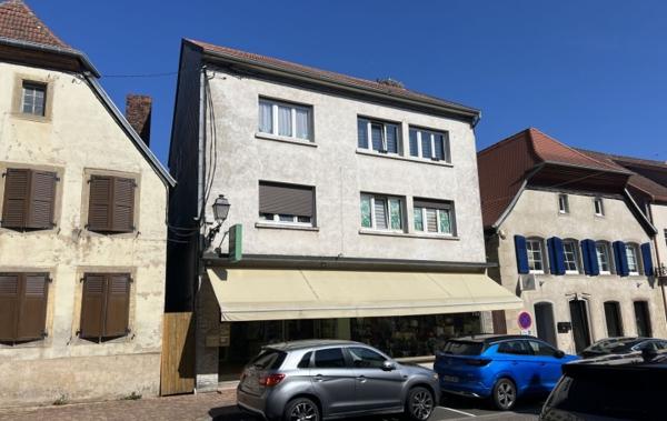 Vente Immeuble Avec un fond de commerce Sarralbe   