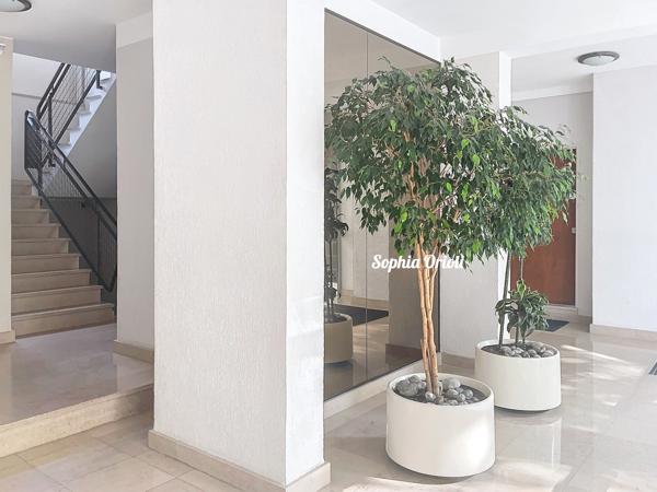 Appartement 1 pièce - 9 m² Exclusivité efficity