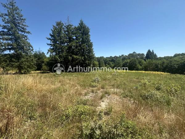 Vente Terrain 3150 m2 à Neuvic