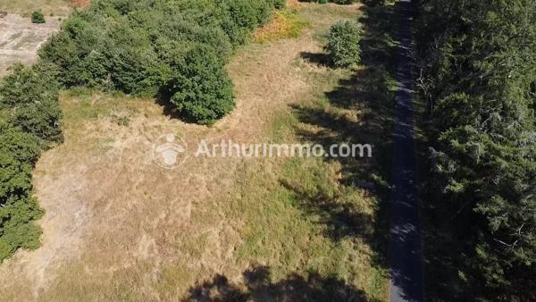 Vente Terrain 3150 m2 à Neuvic