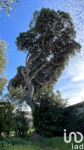 Maison à vendre 6 pièces 125 m² Le Bois-Plage-en-Ré