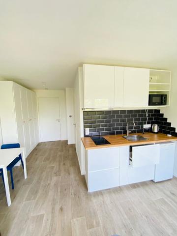 Appartement Thiais 1 pièce 23 m2 MEUBLE