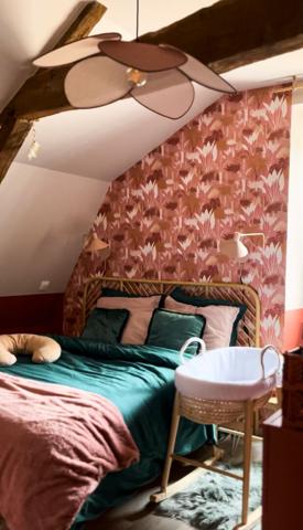Appartement/maison bourg d'ANCENIS