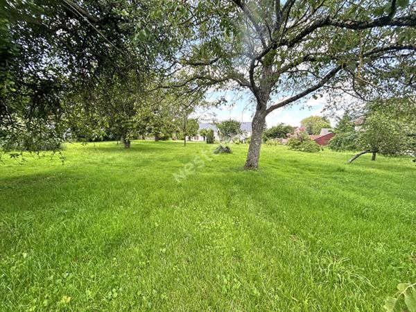 Longere 4 chambres avec dependances et terrain a POULAINES (INDRE 36)