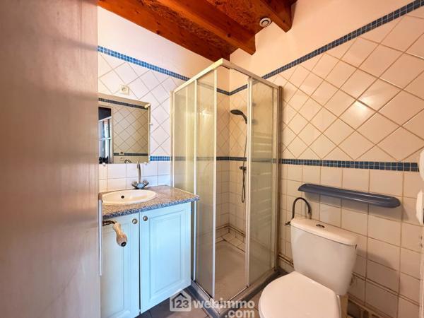 Maison 167 m² à Vivonne 86370
