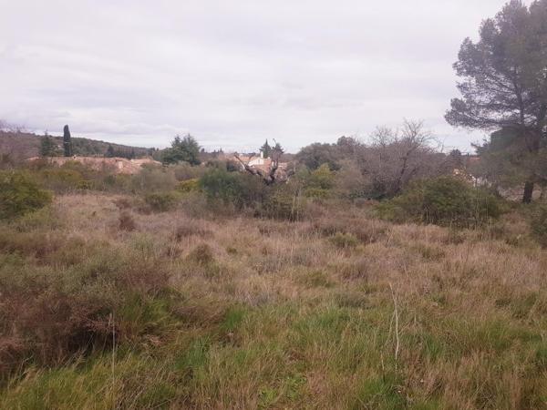 Vente / Terrain constructible