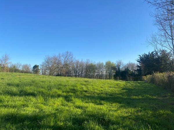 Location hangar / grange 150 m² – Secteur Saint-Caprais – Terrain 4 000 m² + 6 000 m² zone boisée