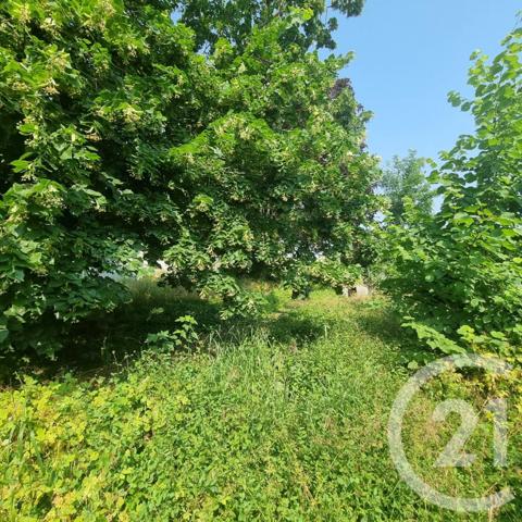 Maison à vendre  6 pièces - 147 m2 ST AY - 45