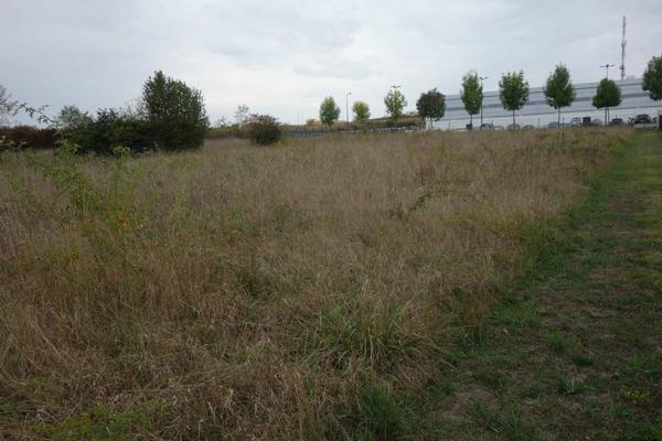 Terrain