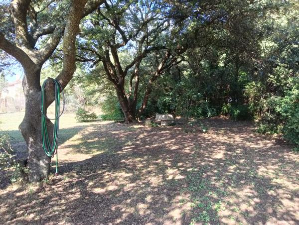 Les Angles (30133) Maisons type 4 121m2 sur 2150m2 ( 2 parcelles )