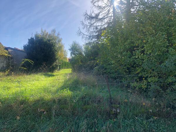 EXCLUSIVITÉ - VINEUIL - RARE