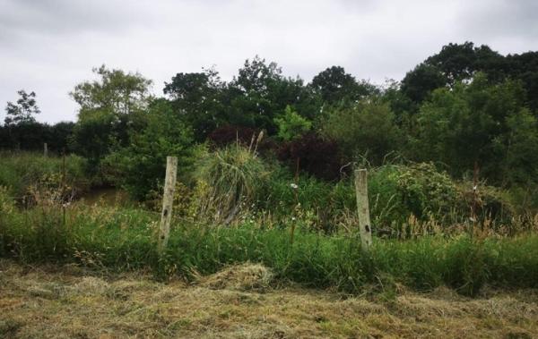 Vente Terrain Talmont-saint-hilaire   