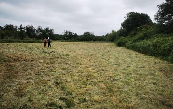 Vente Terrain Talmont-saint-hilaire   