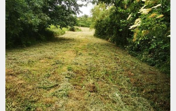 Vente Terrain Talmont-saint-hilaire   