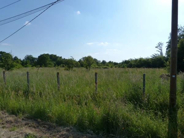 Vente Terrain 1600 m2 à Nançay