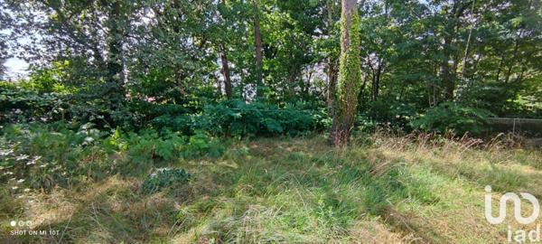 Terrain à vendre 3 621 m² Cestas